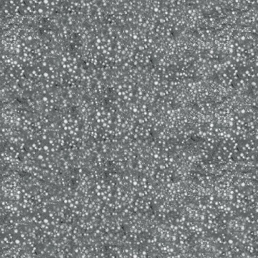 Flexim Roof Putty - Image 13