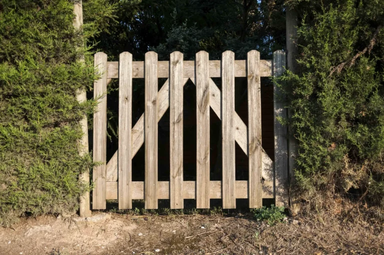 Garden gate blog