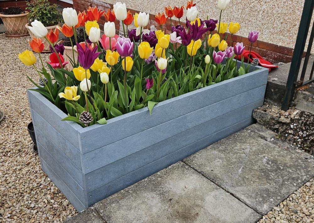 Composite Planter - Image 12