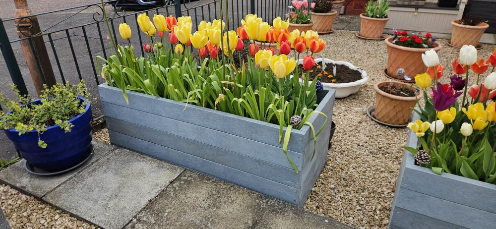 Composite Planter - Image 13