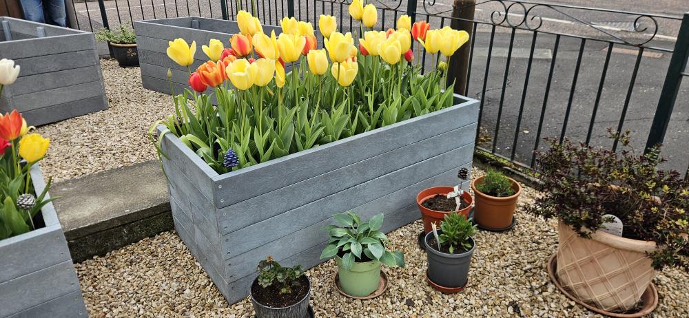 Composite Planter - Image 14