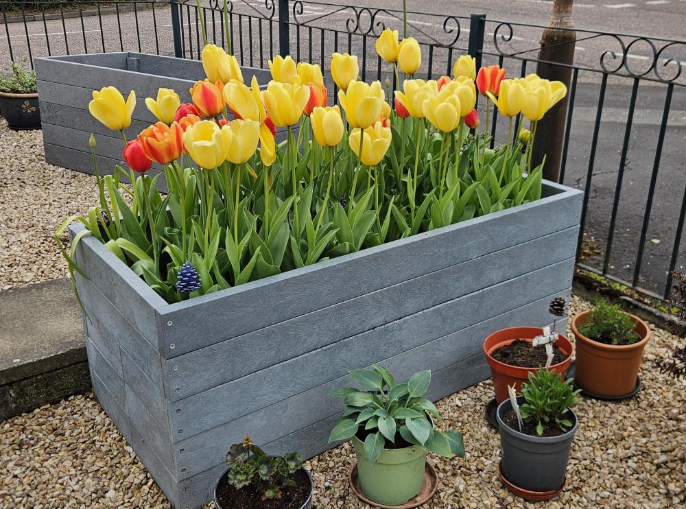 Composite Planter - Image 15