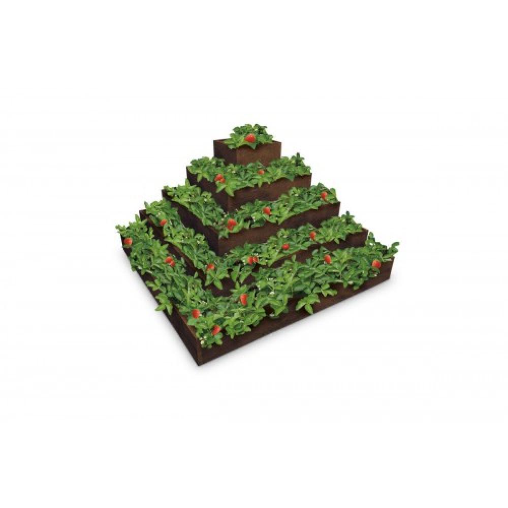 Composite Strawberry Pyramid - 2000 x 2000 x 1000 mm - Image 3